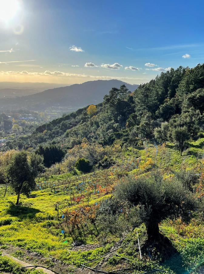 Quinta Altamira Leilighet Portalegre Eksteriør bilde